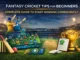 Fantasy Cricket Tips for Beginners Complete Guide